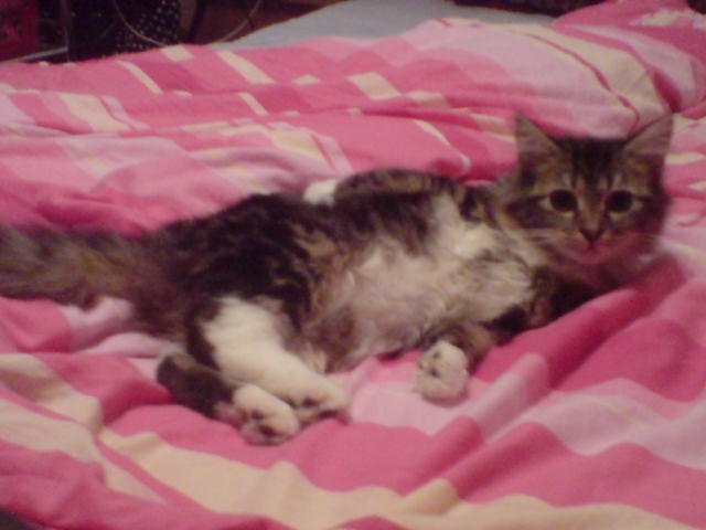 ACH JAK PRZYJEMNIE...